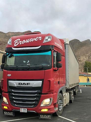 Тягачи: Тягач, DAF, 2018 г. — 19