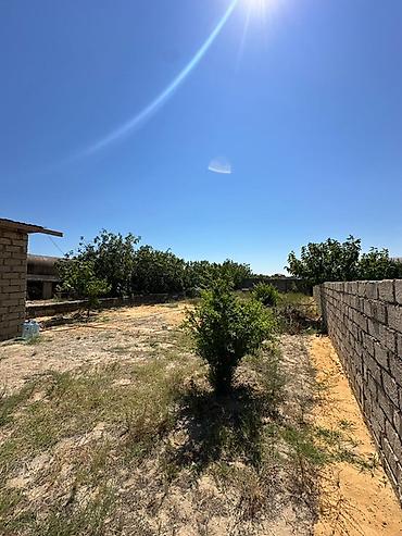 Bağ evlərinin satışı: Satılır Bağ Evi – Novxanı, Qurtdərəsi (6 Sottu). Novxanı qəsəbəsinin — 17