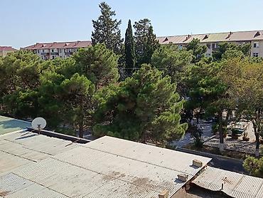 yaşıl ada sumqayıt: 📍 Ünvan: Sumqayıt şəhəri, 1-ci mikrorayon, “Pervi” adlanan ərazi – — 3