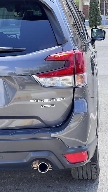 Subaru: Subaru Forester: 2019 г., 2.5 л, Вариатор, Бензин, Кроссовер — 4
