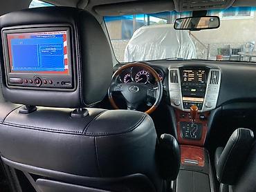 Lexus: Lexus RX: 2007 г. — 19