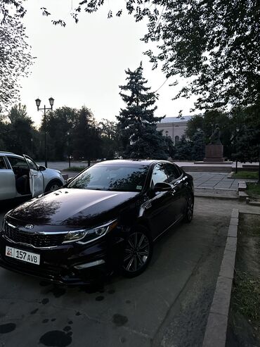 самая деловая машина: Kia Optima: 2019 г., 1.6 л, Автомат, Бензин