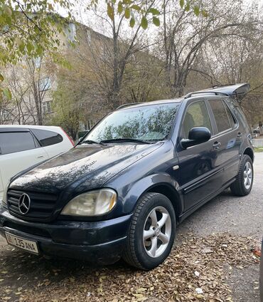 стекло на мерседес 124: Mercedes-Benz M-Class: 2000 г., 3.2 л, Автомат, Газ, Внедорожник