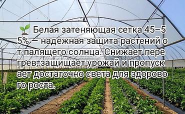 Защитные сетки от птиц, Самовывоз, Бесплатная доставка, Платная доставка at lalafo.kg Защитные сетки от птиц, Самовывоз, Бесплатная доставка, Платная доставка