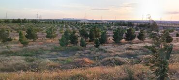 Torpaq sahələrinin satışı: 22 sot, Kənd təsərrüfatı, Mülkiyyətçi, Texniki pasport — 3