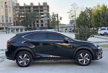 k7 2019: Lexus NX: 2019 г., 2.5 л, Вариатор, Гибрид, Кроссовер — 4