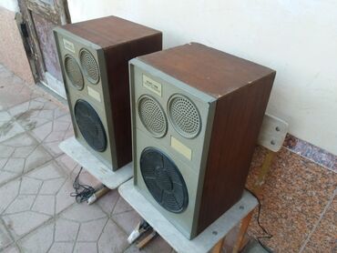 audio sistem: Radiotehnika Kolonka, Növ - Akustik