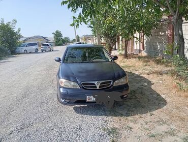 runx alex: Nissan Maxima: 2003 г., 3 л, Механика, Газ, Седан