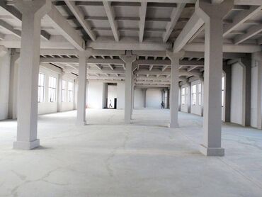 Sex, zavod və fabriklər: İstehsal üçün, Anbar və müxtəlif təyinatlı istifadələr üçün 637 Kv.m — 5