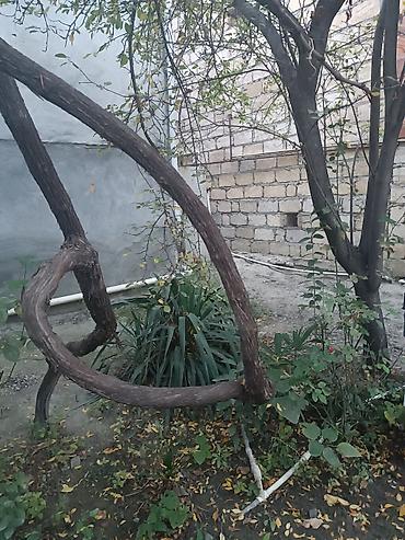 Həyət evləri və villaların satışı: 8 otaq, 90 kv. m, Orta təmir — 13