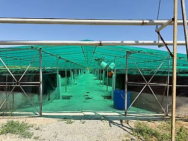 Продажа другой коммерческой недвижимости: 🐟 Продаётся действующее рыбное хозяйство с развитой инфраструктурой 📍 — 18