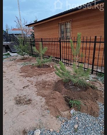 кфартира: Студия, 25 м², Индивидуалка, 1 этаж, Свежий ремонт — 7