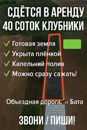 сельхоз земля: 40 соток Для сельского хозяйства, Электричество, Водопровод