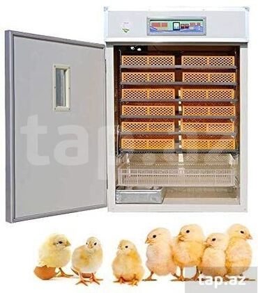 inkubator aparatlari: 1100 яиц, Китай, Заводское производство, Полностью автоматическая, Для всех видов птиц