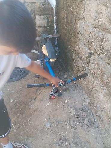 Uşaq velosipedləri: Məhsul: Uşaq/yeniyetmə üçün velosiped və hissələri Təsvir: - Mavi — 3