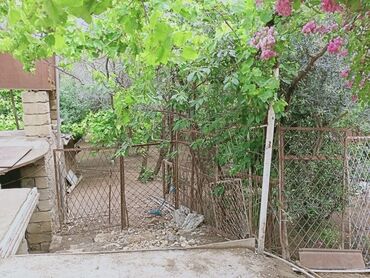 Həyət evləri və villaların satışı: 7 otaqlı, 150 kv. m, Kredit yoxdur, Orta təmir — 24