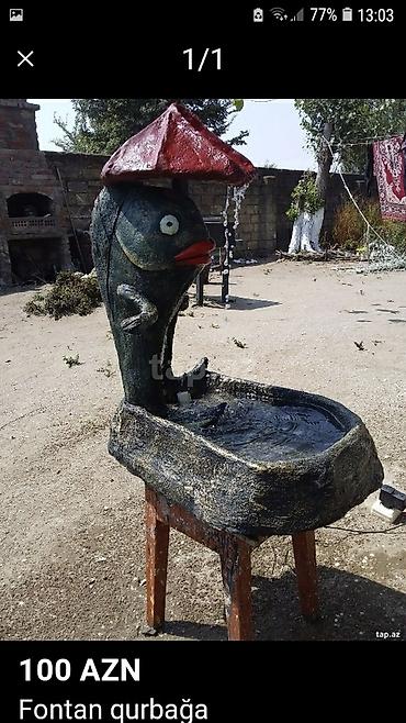 bitki toxumlarinin satisi: Bağ və bostan üçün digər məhsullar — 1