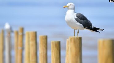 продаю дом на рабочем городке: 3 комнаты, 58 м², 105 серия, 5 этаж, Старый ремонт