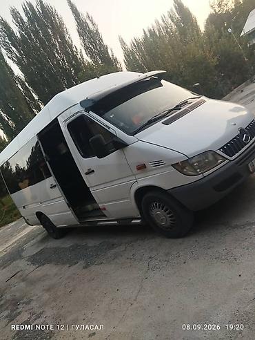 hp 2055dn printer: Пассажирский микроавтобус Mercedes-Benz Sprinter (длинная база — 1