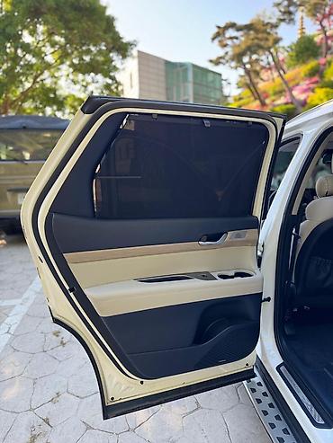 passat cc: Hyundai Palisade: 2019 г., 2.2 л, Автомат, Дизель, Кроссовер — 6