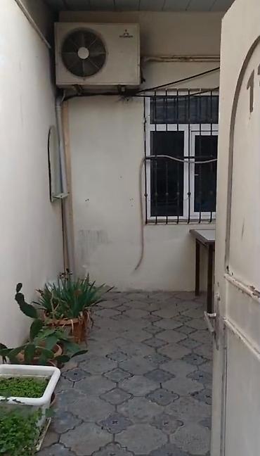 Uzunmüddətli kirayə evlər: 60 kv. m, 2 otaqlı, Kombi, Qaz, İşıq -da lalafo.az — 1 Uzunmüddətli kirayə evlər: 60 kv. m, 2 otaqlı, Kombi, Qaz, İşıq — 1