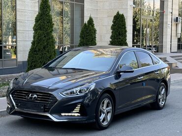 авто солярис: Hyundai Sonata: 2018 г., 2 л, Автомат, Газ, Седан