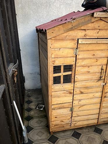 купить забор для дачи: Taxta həyət tövləsi / quşxana - Material: massiv taxta lövhələr — 3