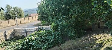 Torpaq sahələrinin satışı: 10 sot, Kənd təsərrüfatı, Mülkiyyətçi, Kupça (Çıxarış) — 9