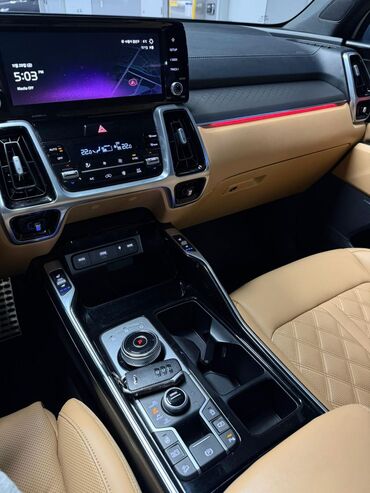 Kia: Kia Sorento: 2020 г., 2.2 л, Дизель — 22