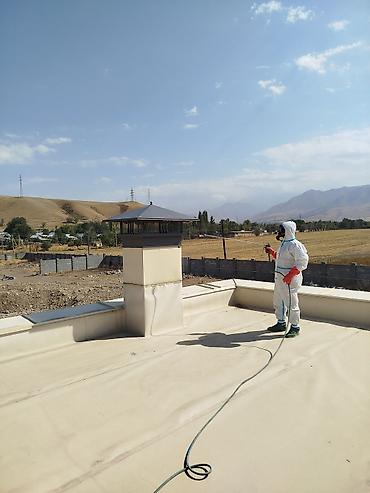 Покраска: Покраска наружных стен, На масляной основе, Больше 6 лет опыта — 5