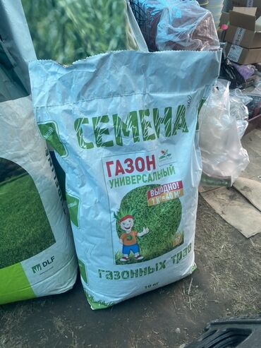 Зерновые культуры: Предлагаются семена газонной травы различных сортов, включая — 4