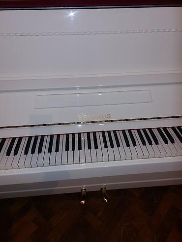 Musiqi alətləri: Piano, Belarus, Akustik, Yeni, Pulsuz çatdırılma — 3