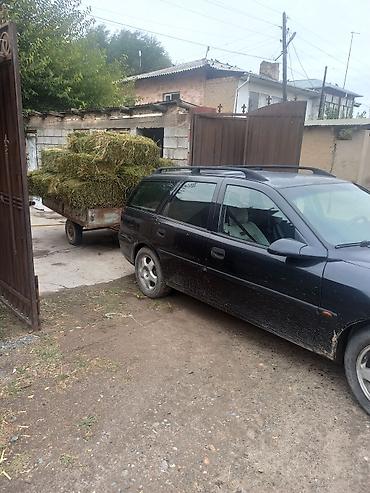 Opel: Opel Vectra: 1998 г., 2 л, Дизель, Универсал — 3