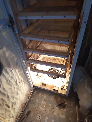 İnkubatorlar: Bütün növ quşlaq üçün — 7