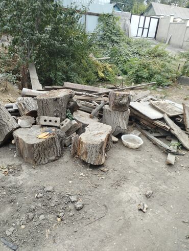 шыйпыр сена: Жалбырактуу бактар
