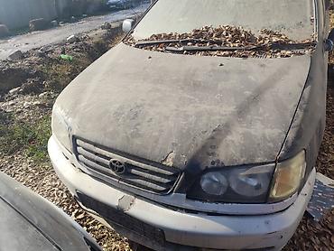 Другие детали кузова: Toyota Ipsum — на разбор - Кузов: универсал/минивэн, 5 дверей. Цвет — 3