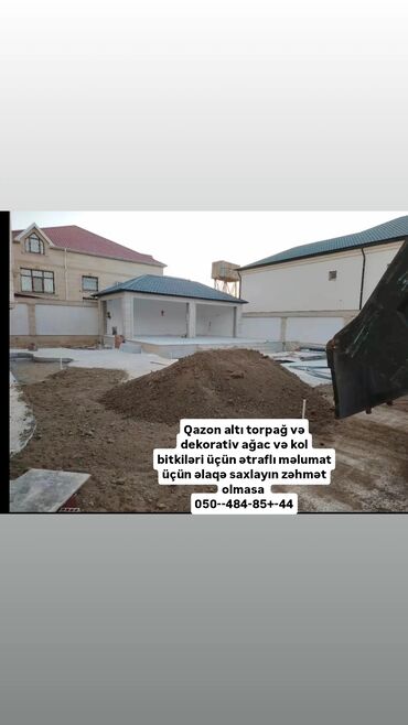 şamaxıda ev alqı satqısı: Makler tələb olunur, 1 ildən az təcrübə, Növbəli qrafik, Natamam iş günü