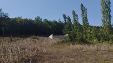 Torpaq sahələrinin satışı: 7 sot, Tikinti, Mülkiyyətçi -da lalafo.az — 7 Torpaq sahələrinin satışı: 7 sot, Tikinti, Mülkiyyətçi — 7