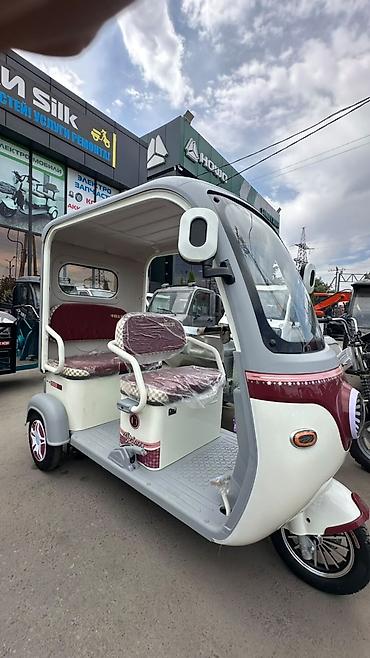 byd e2 2024: Электрический пассажирский трицикл (электрорикша) с крышей и ветровым — 1
