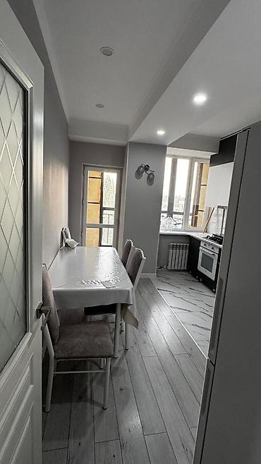 nova grant: 2 комнаты, 59 м², Филармония Элитка, 4 этаж, Евроремонт — 4