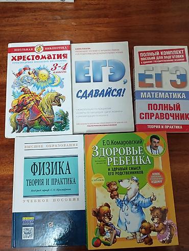 Другие комплектующие: ШКОЛЬНЫЕ УЧЕБНИКИ комплект разных предметов и классов — 4