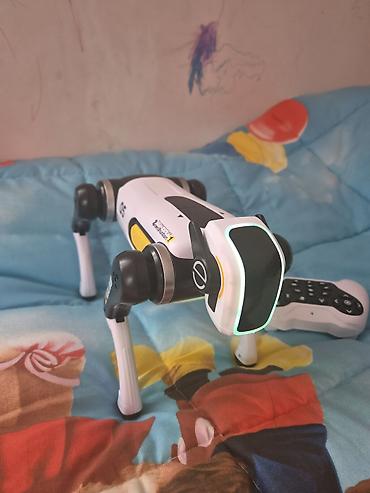 pultlu masin 07: RC Robot İt – D5 model - Göstərilən dəstdə futuristik dizaynlı — 1
