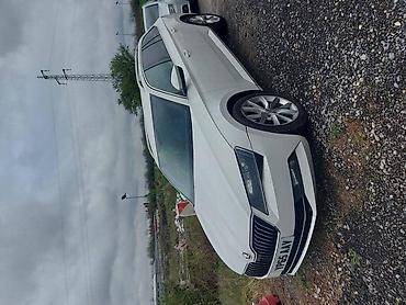 auto vero cacak: KARAVAN LEVA GLAVCINA ZA ŠKODA SUPERB OD 2015. DO 2019. GOD. | SKODA — 2
