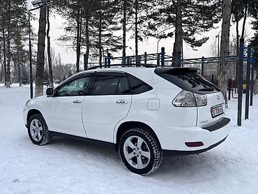 Lexus: Lexus RX: 2004 г., 3.3 л, Автомат, Бензин, Кроссовер — 14