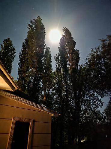 пентхаус стоимость: Срочно поселение менен 1 кыз керек 3 комнаталуу батир, 10мкр-до — 1