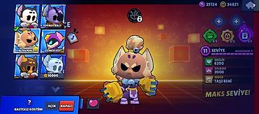 Другое: Brawl Stars oyunu üçün hesab - Kupa: 15 060 (Kupa Yolu I) - Toplanan — 8