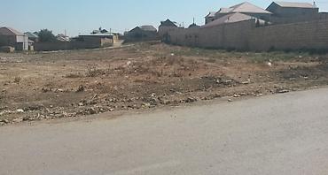 torpaq kreditle: Kənd təsərrüfatı, Kupça (Çıxarış) — 1