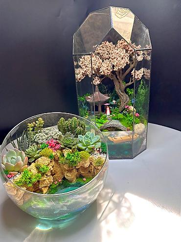 love is: Маленькая вселенная под стеклом🌿. Флора и фауна в одном пространстве — 1