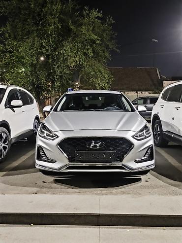 боковое зеркало соната: Hyundai Sonata: 2022 г., 2 л, Автомат, Газ, Седан — 1
