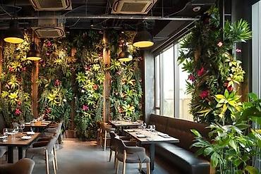 Başqa xidmətlər: Green House Azerbaijan. Dekor interyer Kafe×restoranlar üçün — 11